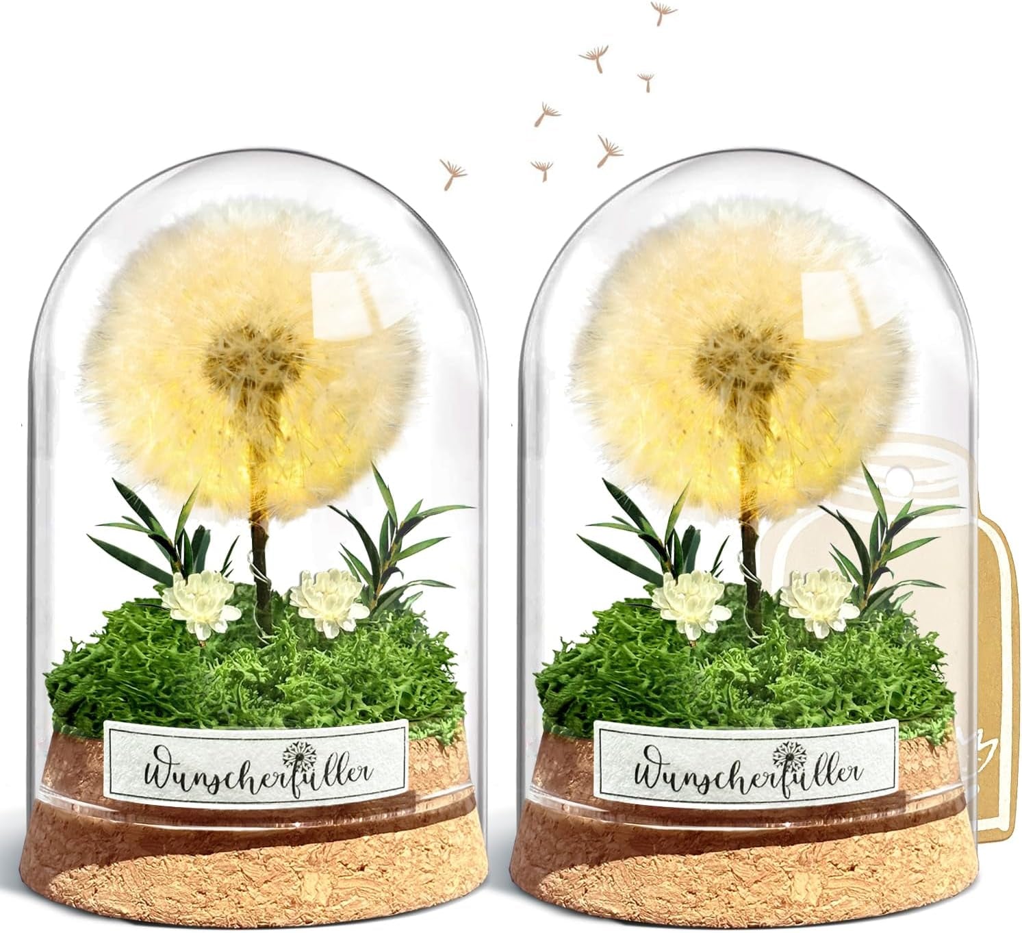 Wunscherfüller Mit LED Licht, Echte Pusteblume Im Glass, Ewig Geburtstagsgeschenk Für Frauen Freundin Mädchen Geschenke Für Geburtstag Hochzeit Jugendweihe Weihnachten Valentinstag