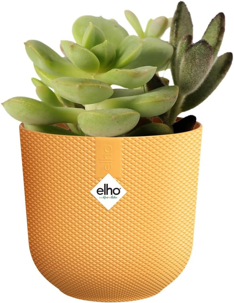 elho Jazz Round Mini 7cm - Ghiveci de flori de interior - Plastic 100% reciclat - Ø 7 x H 6,5 cm - Galben/Chihlimbar