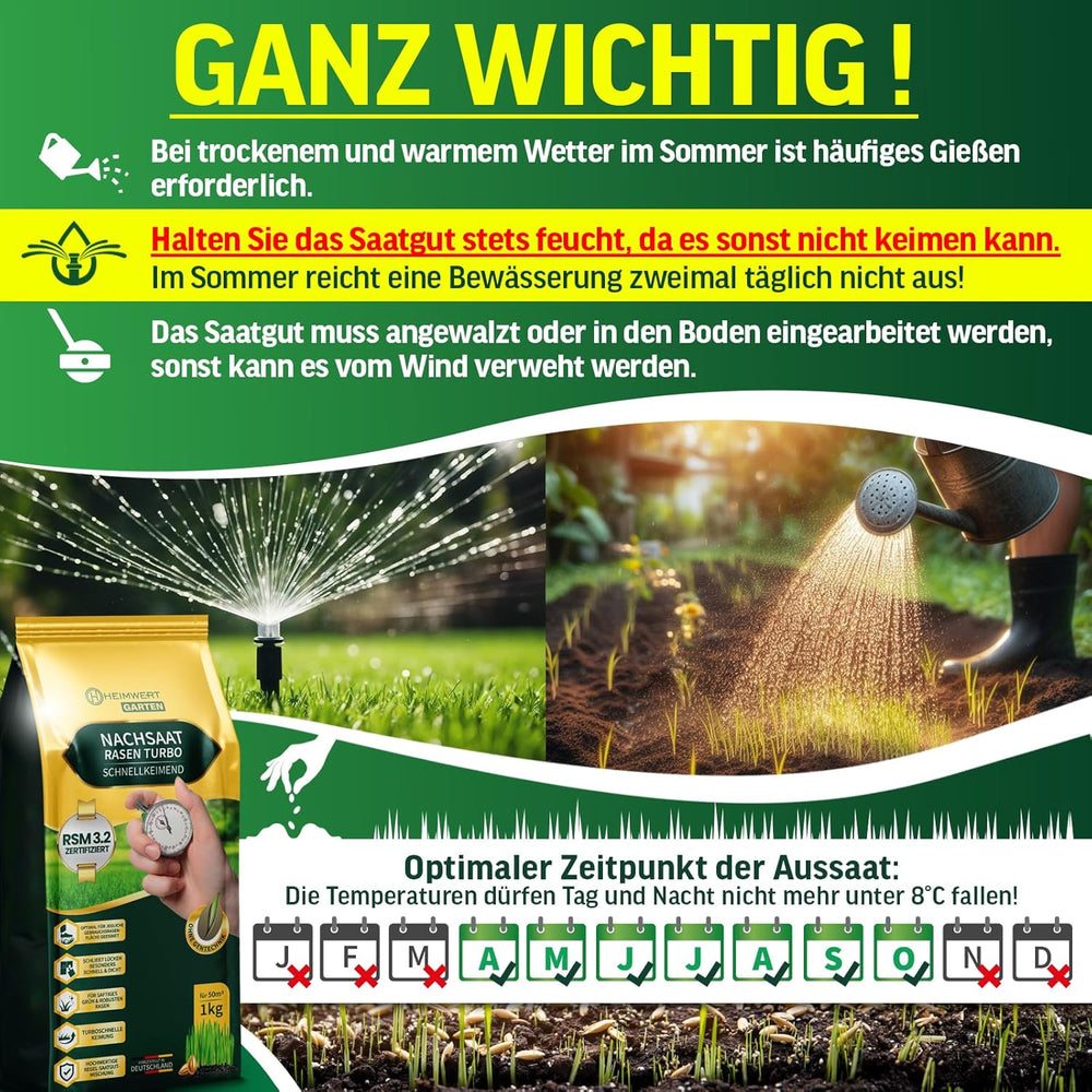 Rasensamen Schnellkeimend Turbo Nachsaat Grassamen Schnellkeimend Nach Original RSM 3.2 Empfehlung Aus Hochwertigster Gräser Mischung - 1Kg Sport Und Spiel Rasen Für 50 M2 - Made in Germany