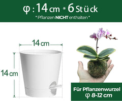 Ghiveci de flori din plastic T4U de 14 cm cu sistem de udare, set de 6 ghivece cu auto-udare și farfurioare, ghivece rotunde pentru plante de grădină de interior și balcon, suculente, cactuși, alb