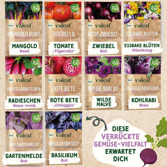 BIO Verrücktes Gemüse Samen Set I Saatgut Set Mit Besonderen Gemüsesamen I Züchte Buntes Gemüse I Mini Pflanzset I Crazy Veg I Gemüse Samen Set I Garten Anzuchtset Gemüsesamen Geschenk