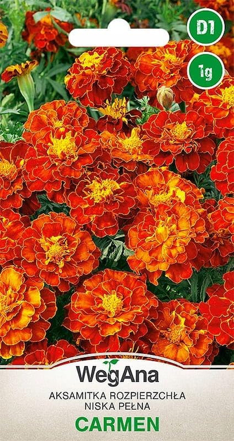 Semințe Cosmos Sensation Mix 1g, Mix Cosmos Flori de vară, Plante de grădină Plante de balcon, Semințe de flori