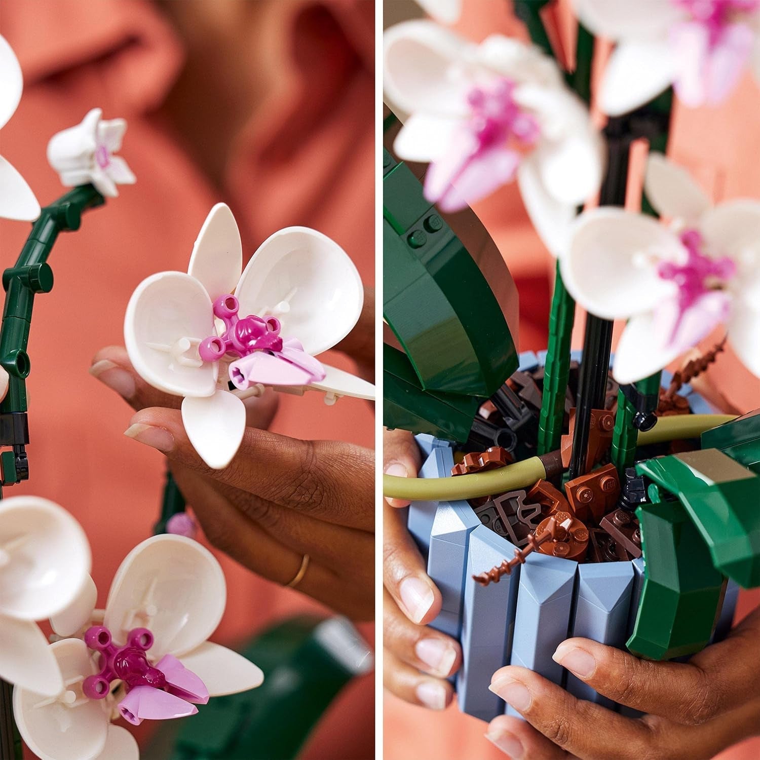 LEGO Botanicals Orchidee - Künstliche Pflanzen Set mit weißen und rosa Blumen - Modellbausatz für Erwachsene - Home und Zimmer-Deko - Botanik Kollektion - Geschenke für Frauen und Männer 10311