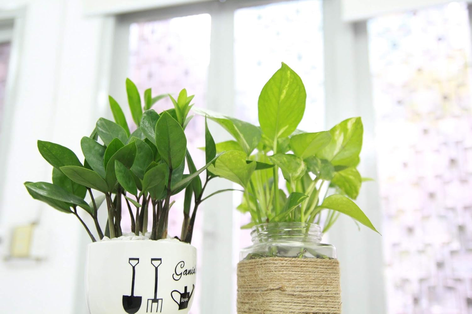 1L Lewatit HD-50, granule de îngrășământ hidroponic de înaltă calitate, pe termen lung, perfect pentru toate plantele ornamentale, efect pe termen lung de până la 6 luni