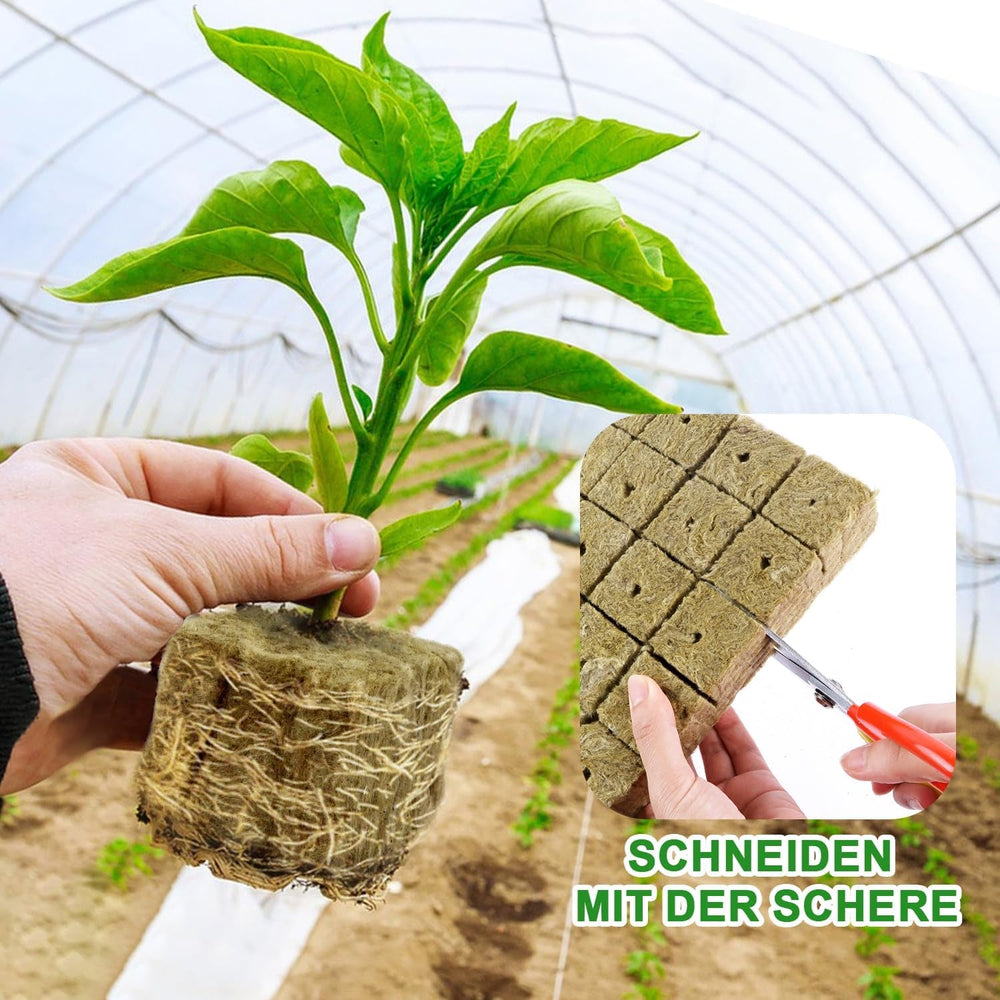 Cuburi pentru răsaduri Rockwool, 56 bucăți, 4x4x4cm. Ecologice și bine aerate pentru cultivarea fără sol a răsadurilor, butașilor și clonelor.