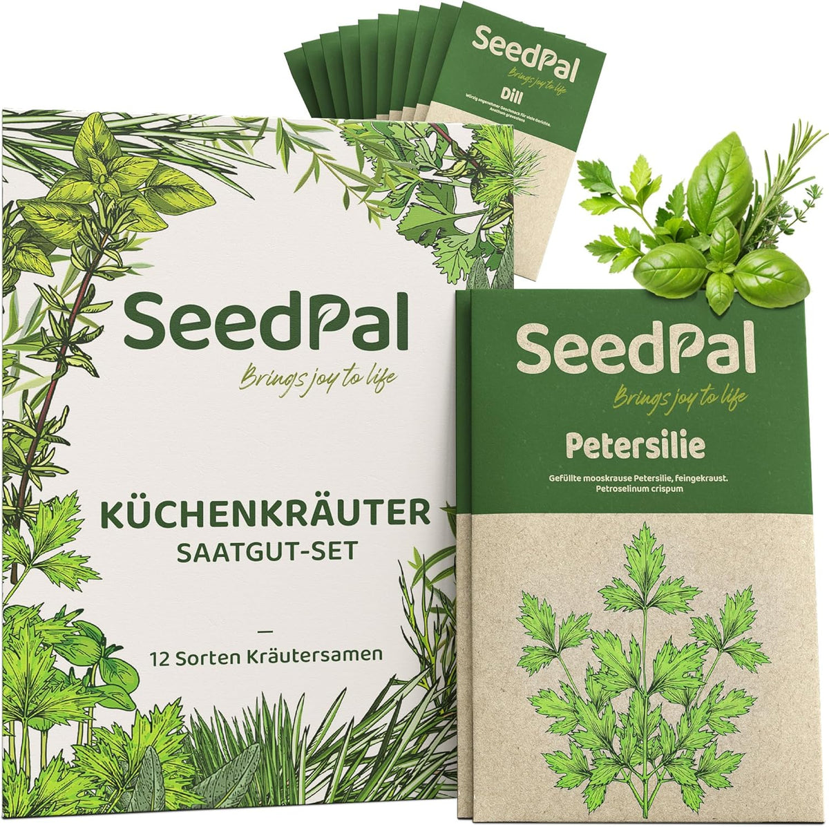 Kräutersamen Set - 12 Beliebtesten Küchenkräuter - Kräuter der Provence, italienische Kräuter - Kräutergarten für Küche oder Balkon - Samen Saatgut - Gartenkräuter Sorten