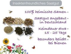 Deutsche Samen – Bunter Bauerngarten Set – 7 Verschiedene Pflanzen – Insektenfreundlicher Garten - Pflegeleichte Mehrjährige Pflanzen – Abwechslungsreiche Farbenprächtige Blumen