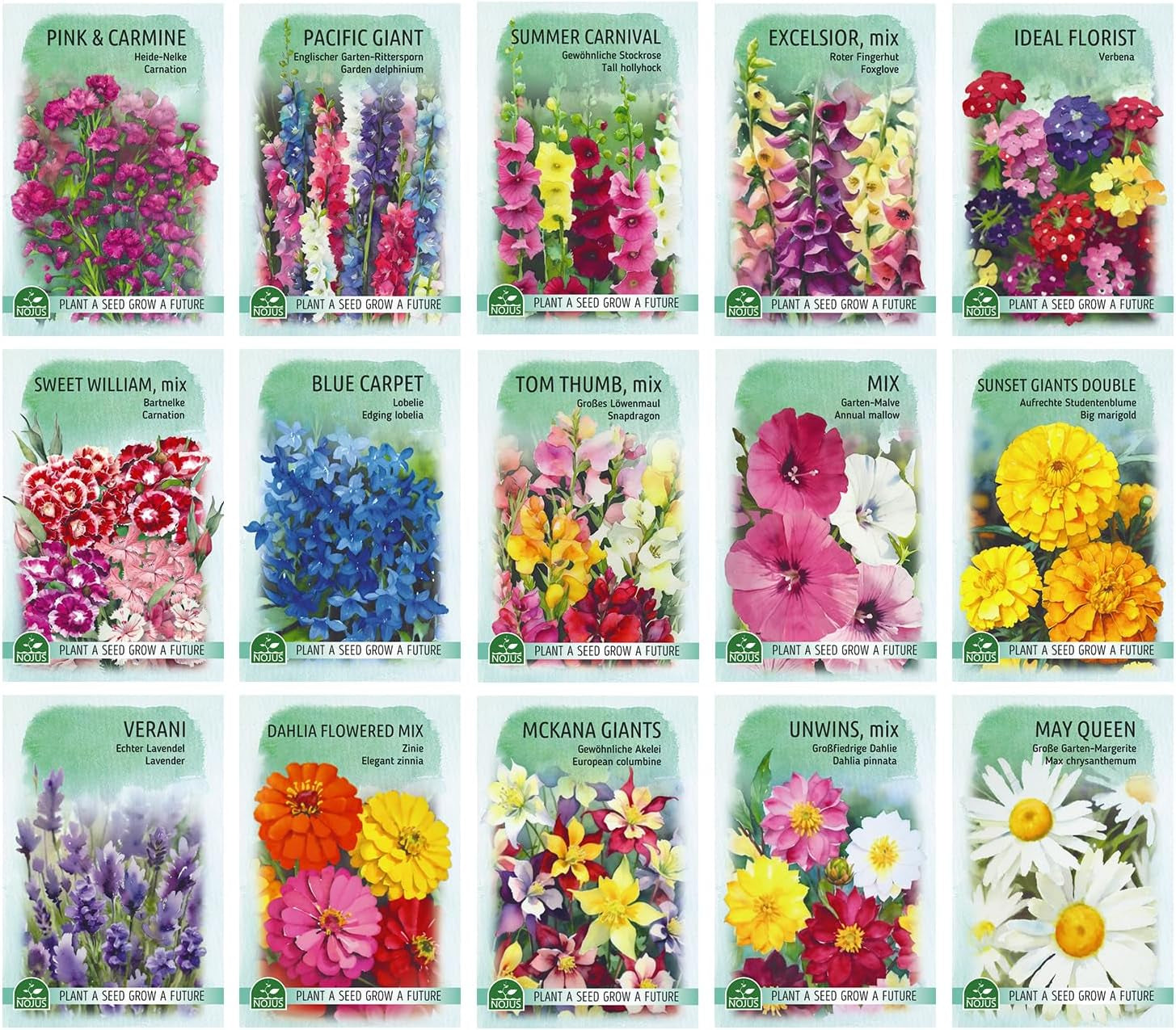 Set de semințe de flori Nojus - 15 pachete de semințe de flori - Semințe de flori de grădină - Semințe de plante colorate - Semințe de flori sălbatice - 15 varietăți de semințe de flori - Cadou ideal cu semințe de flori