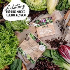 BIO Salat Samen Set - 14 Sorten Salatsamen Aus Biologischem Anbau I Samenfestes Salat Saatgut I Bio Salat Set Für Balkon, Garten Und Hochbeet I 14Er Saatgut Gemüse Inkl. Gemüsesamen Alte Sorten
