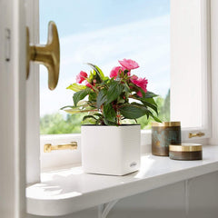 LECHUZA CUBE Culoare 16 gri ardezie 13584