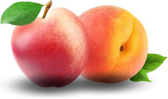 Pfirsiche Mit Gelbem Fruchtfleisch Leichter Pfirsich - Obstpflanze Blasenbeständig Auf Blumentopf 20 - Baum Max 170 Cm - 2 Jahre Anbau Italien
