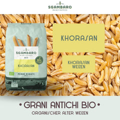 Paste Penne Rigate Organice N.91 - 500g din Grâu Khorasan - Grâu antic, bogat în proteine, cultivat 100% în Italia - Versatile în bucătărie și bogate în nutrienți