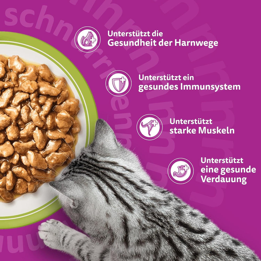 Hrană umedă Whiskas Senior 7+ Selecție mixtă în sos, 48 pliculețe, 12x85g (pachet de 4) – Hrană umedă de înaltă calitate pentru pisici de 7 ani și peste