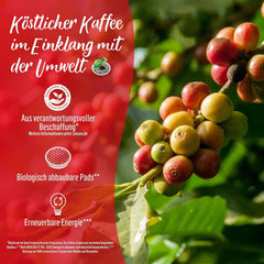 Senseo Pads Probierbox 5 Sorten, Vielfaltspaket, 5 x 16 Getränke, 80 Kaffeepads