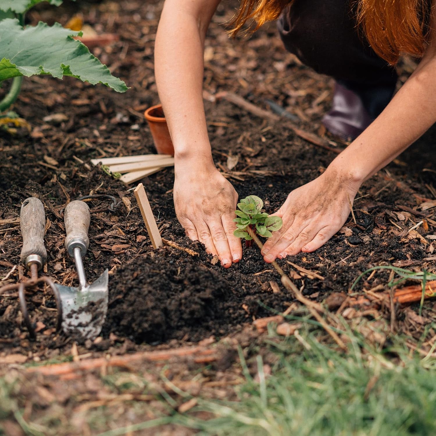 Magic Garden Seeds - Selbstgemachter Kräutertee - Samen Geschenk Set Mit 6 Wohltuenden Kräutersorten - Anzuchtset Mit Pfefferminze, Zitronenmelisse, Salbei, Bergminze, Eisenkraut Und Gewürzfenchel