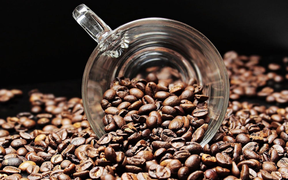 Cafea specială din America de Sud - Galapagos, ecosistemul unic al insulelor (1000 de grame, boabe întregi) - cafea de origine unică - cafea premium - aciditate scăzută - prăjită ușor și proaspăt