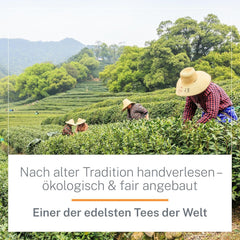 Ceai Oolong Ti Guan Yin Bio 100 g - Ceai Oolong de înaltă calitate, din China, de calitate bio - Wu Long (grad ceremonial) - Pentru iubitorii și cunoscătorii de ceai - Mycupoftea