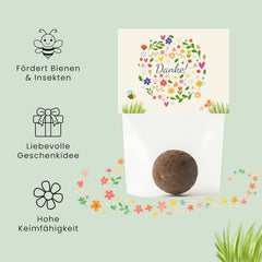 Danke Blumensamen Als Gastgeschenk (10Er Set Samenbomben) - Kleine Dankeschön Geschenke Als Mitgebsel - Blumenmurmeln Als Kleinigkeit Für Kollegen, Kinder Und Erwachsene