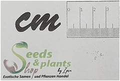 Stk - 10X Begonia Parviflora Baumbegonie Ziersträucher Garten Pflanzen - Samen ID344 -
