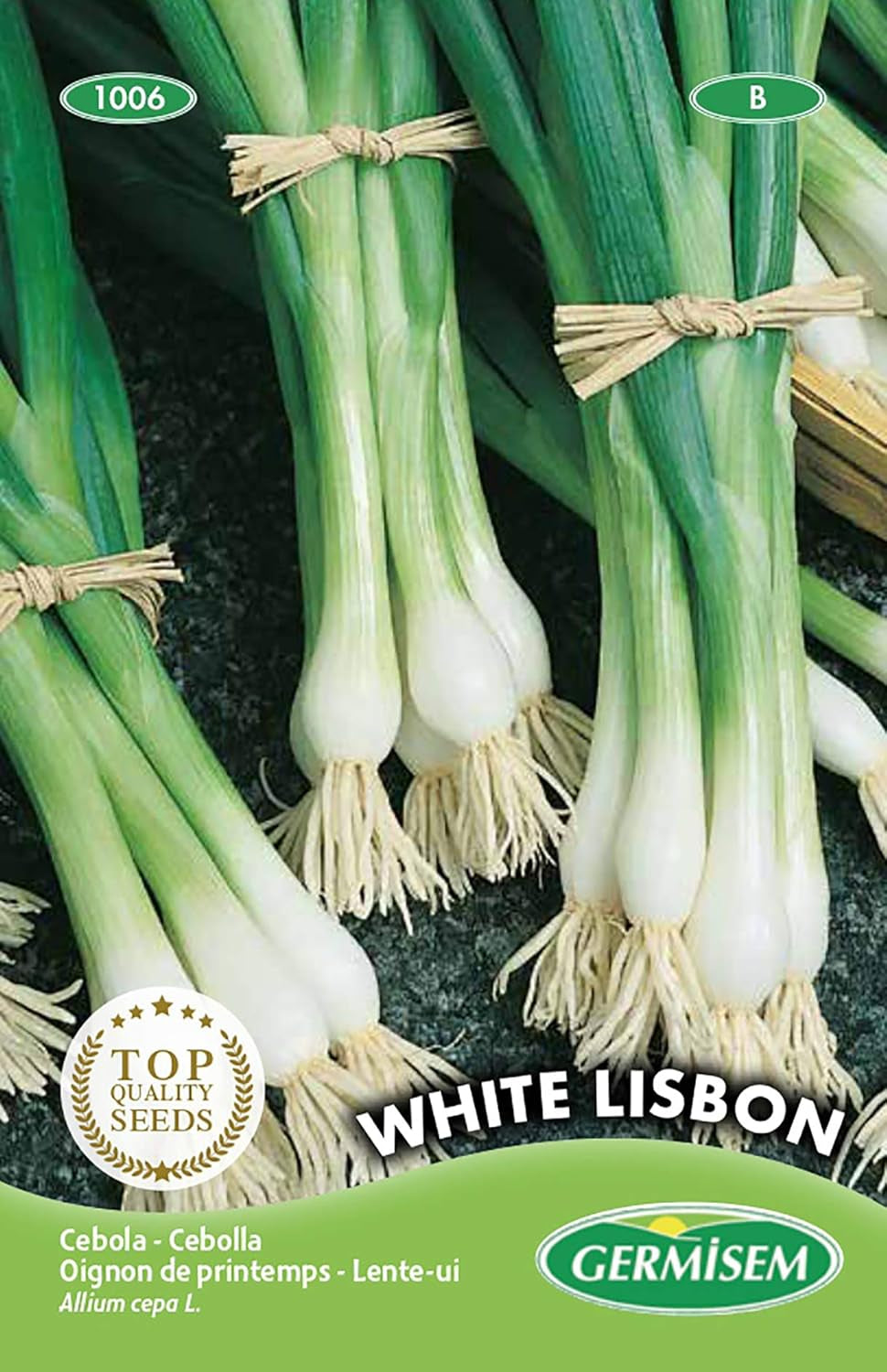 Zwiebel WHITE LISBON EC1006 Mehrfarbig
