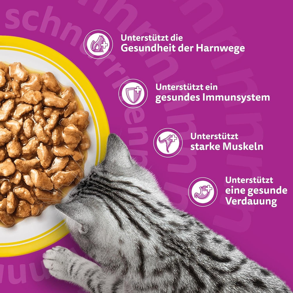 Hrană umedă Whiskas 7+ pentru pisici, selecție de păsări de curte în sos, 24 x 85 g (2 pachete) – Hrană umedă de înaltă calitate, de la 7 ani, în pliculețe cu 48 de porții