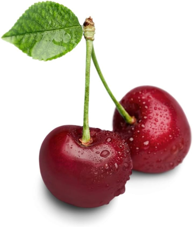 Sauerkirschbaum Visciola Di Ancona – Alte Sorte, Obstpflanze Im Topf Ø 20 Cm — Höhe 150-170 Cm, Alter: 2 Jahre — Selbstfruchtend — Italienische Baumschule