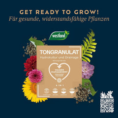 Granule de argilă Westland, 5 l – Granule pentru plante ideale pentru hidroponie, substrat de drenaj fără aditivi chimici, pentru uz interior și exterior