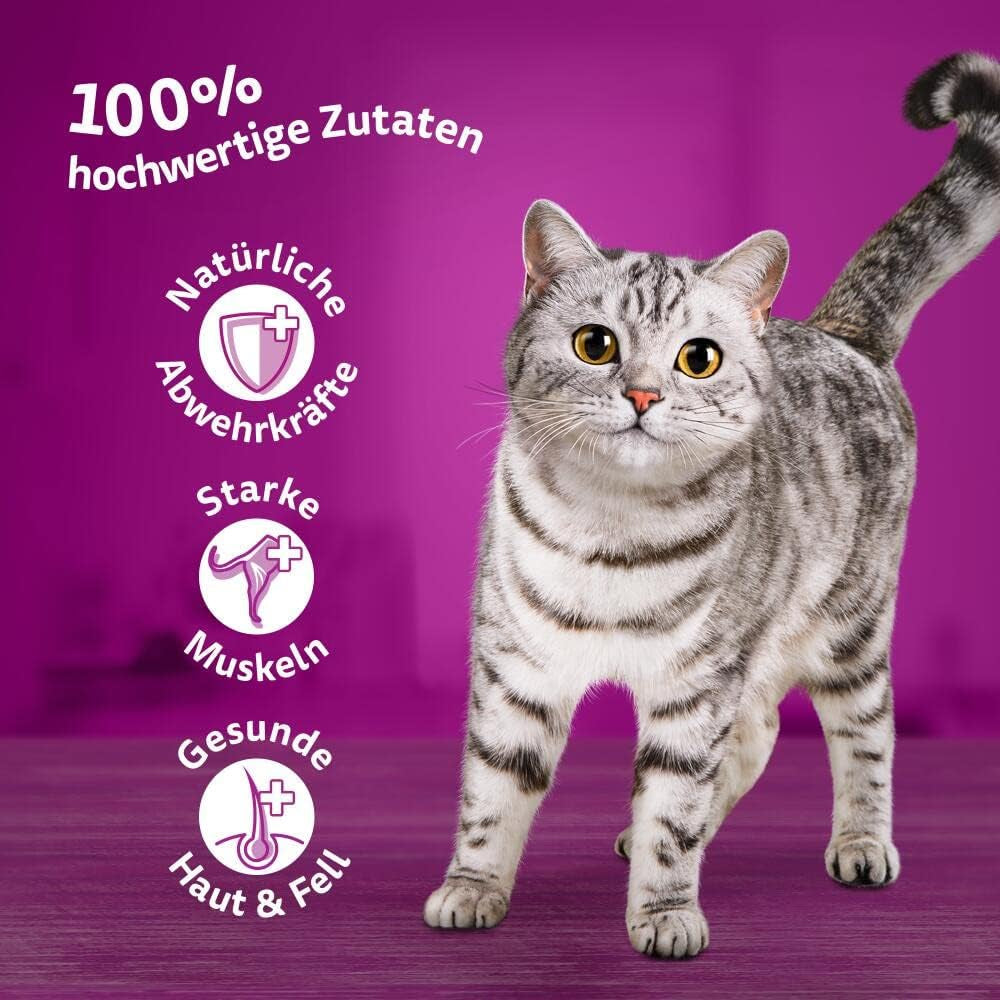 Hrană umedă Whiskas 1+ pentru pisici cu pui în jeleu, 28x85g (1 pachet) – Hrană umedă de înaltă calitate pentru pisici adulte în pliculețe cu 28 de porții