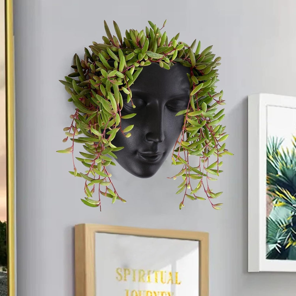 Jardinieră Notakia cu față, montată pe perete, pentru uz interior și exterior, cu drenaj, pentru suculente, cactuși și plante mici, decorațiune unică pentru casă, cadou pentru prieteni și familie
