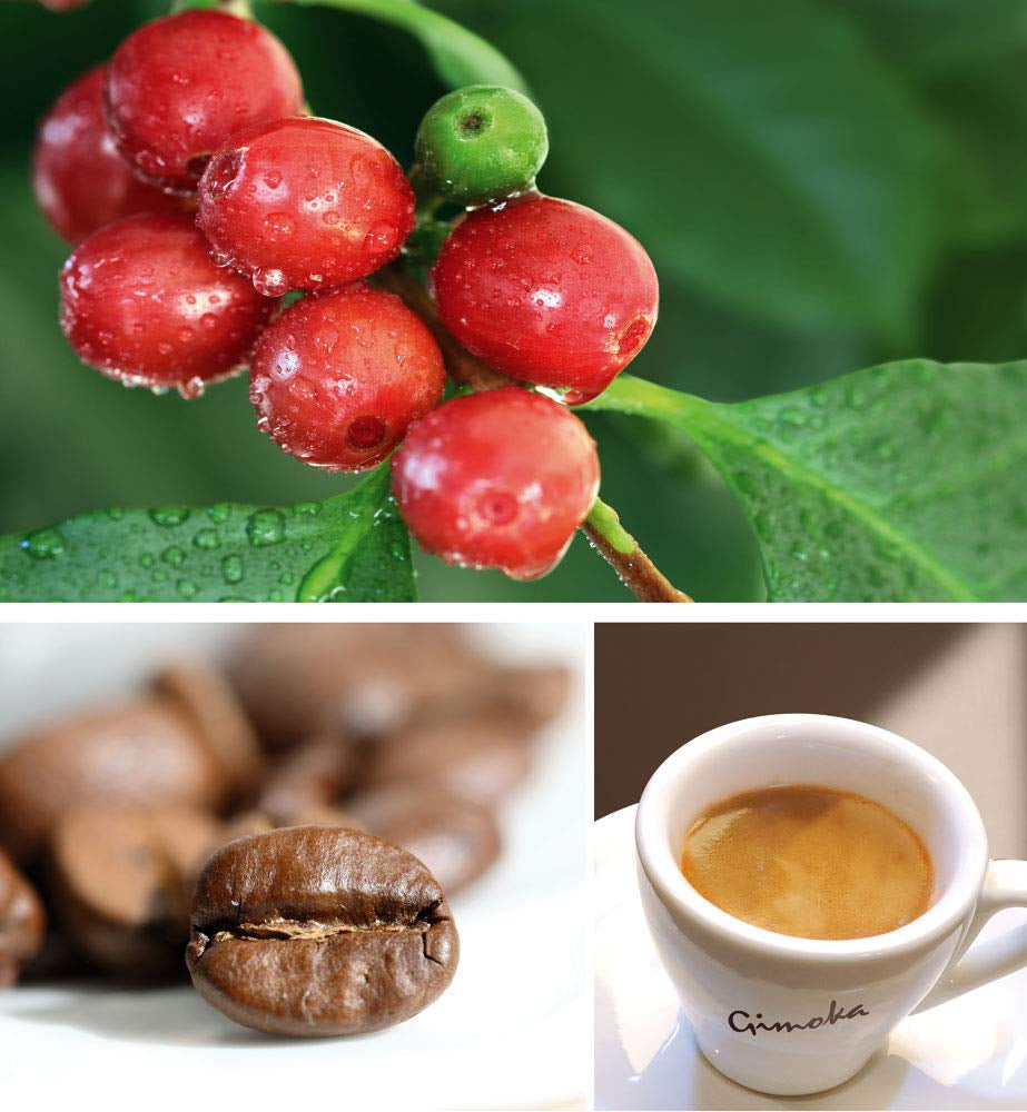 Gimoka - Kompatibel Für Nescafè - Dolce Gusto - 64 Kapsel - Geschmack CREMOSO - Intensität 10 - Made In Italy - 4 Packungen Zu 16 Kapseln