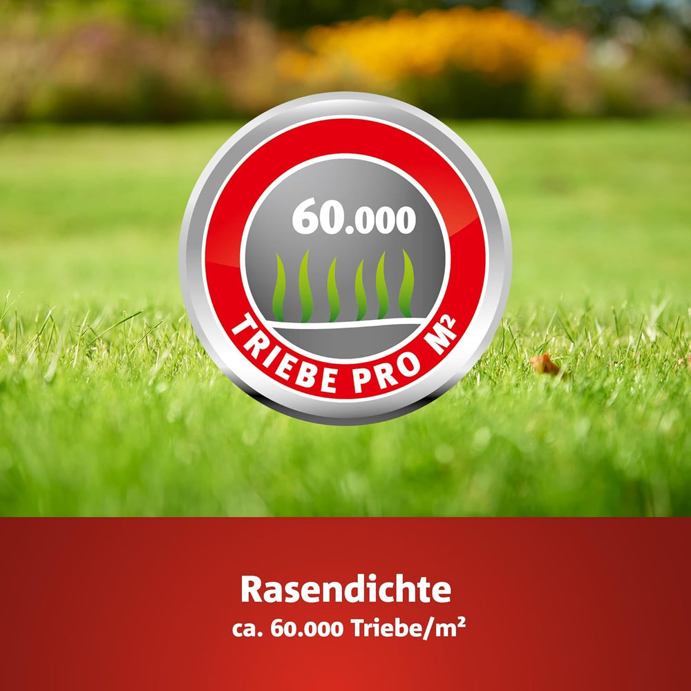 Wolf-Garten Sport- & Spielrasen LG 125 (Für 125 M², Schnell Nutzbar & Trittfest, Strapazierfähiger Rasen Für Sport- & Spielplätze, Hausgarten, Für Alle Bodenarten Geeignet, Im 2,5 Kg Beutel) 3825020