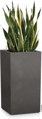 Lechuza CANTO Stone 30 înălțime, Negru grafit, Plastic de înaltă calitate, Include sistem de udare, Inserție de plantare detașabilă, Pentru uz interior și exterior, 13602, 30x30x56 cm