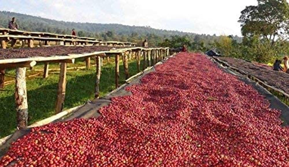 Boabe de cafea decofeinizate 1 kg natural 100% - Espresso Gust intens din Columbia și Brazilia.