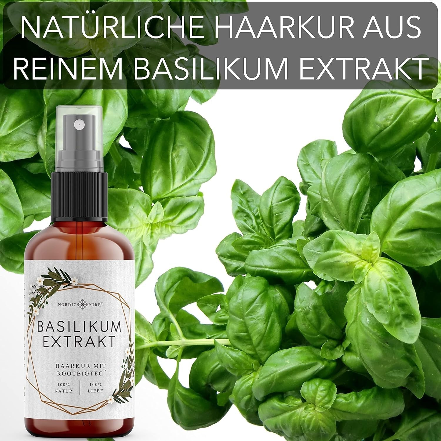 Tratament pentru păr cu extract de busuioc de la Nordic Pure | Pentru îngrijirea părului subțire, uscat și fragil | Poate preveni căderea părului | 100ml Ingrijirea parului Naty Shop