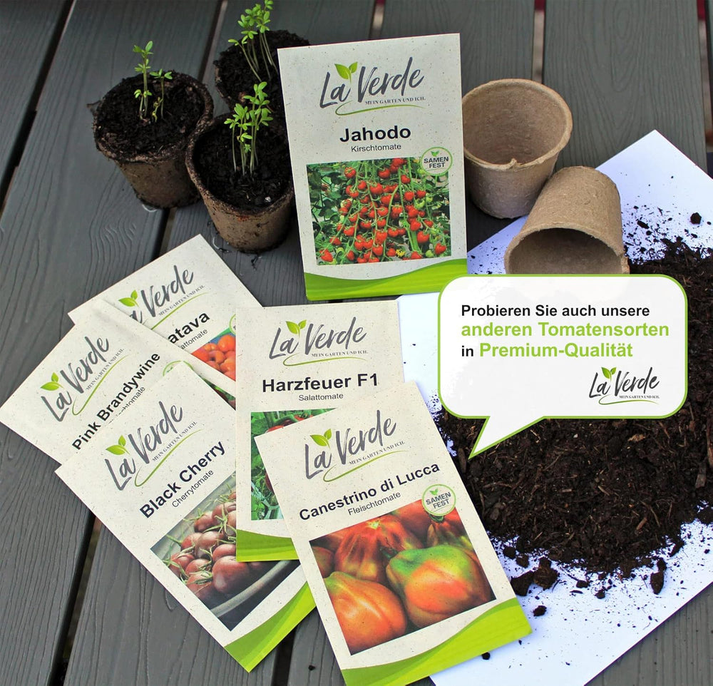 La Verde MEIN GARTEN UND ICH. Mini Tomatensamen Für Ca. 10 Pflanzen, Robuste Cherrytomate, Süß-Fruchtige Früchte, Saatgut Ohne Gentechnik