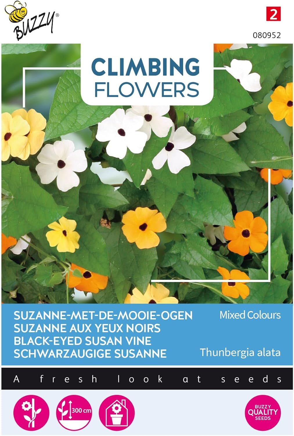 Flori cățărătoare Buzzy, amestec de Thunbergia