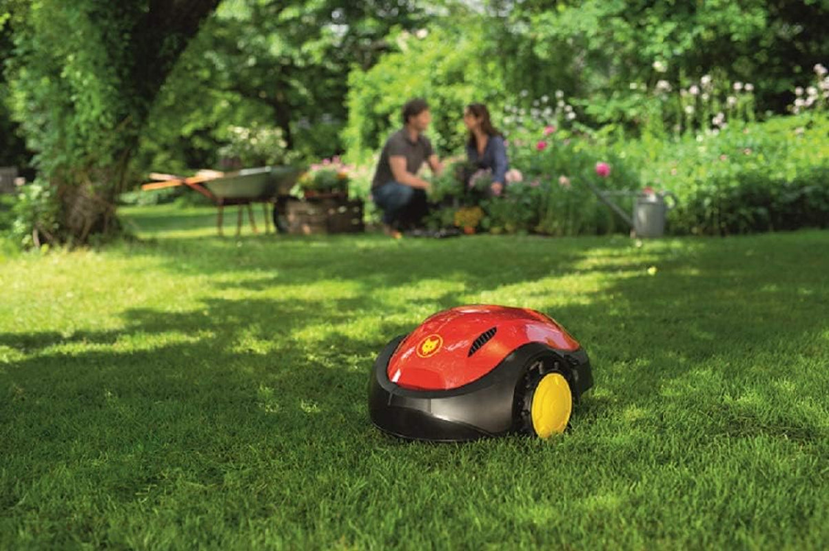 Wolf-Garten RO-SA 100 Robo-Spezial Rasenmischung Für 100 M², Beige