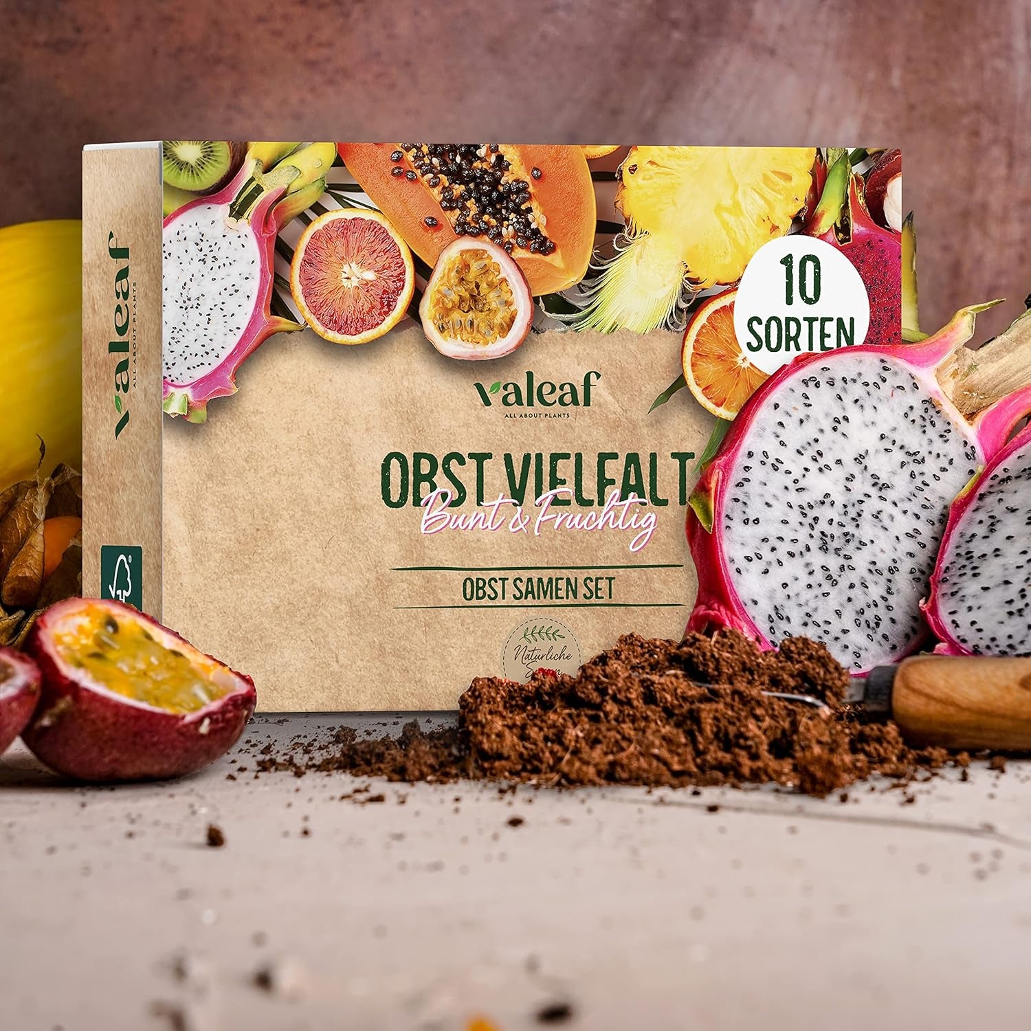 Obst Samen-Set I 10 Sorten Obstsamen I Premium Obst-Saatgut I Pflanzen Kit Inkl. - Erdbeersamen, Melonensamen, Physalis, Drachenfrucht I Pflanzen Saat I Ideales Samen-Set Geschenk