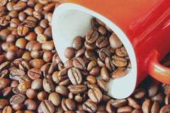 Cafea specială din America de Sud - Galapagos, ecosistemul unic al insulelor (200 de grame, boabe întregi) - cafea de origine unică - cafea premium - aciditate scăzută - prăjită ușor și proaspăt