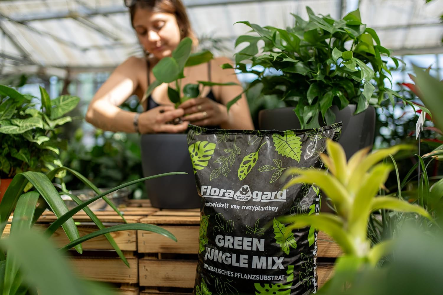 Floragard Green Jungle Mix 6 L – substrat mineral pentru plantare Monstera, Philodendron – asigură un drenaj optim și o creștere sănătoasă a rădăcinilor – ideal pentru plantele de apartament exigente