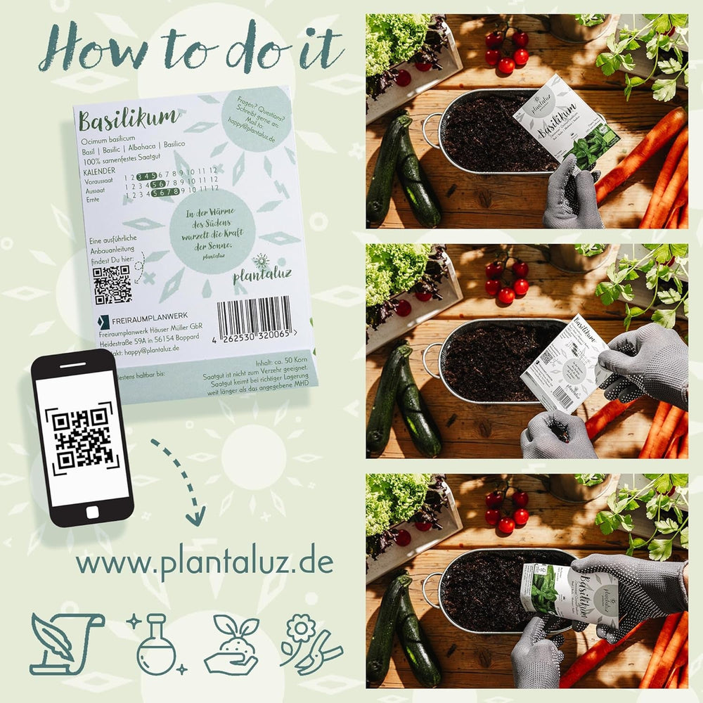Set de semințe premium organice Plantaluz P03 – Set de semințe pentru plante culinare și medicinale pentru grădină, balcon și interior – incl. bețe de plantare FSC – Semințe organice polenizate liber, netratate și fără OMG-uri