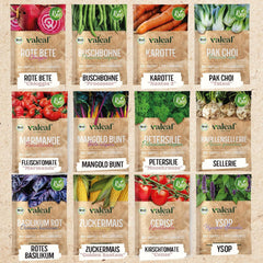 BIO Historisches Gemüse Samen Set I Seltene U. Alte Gemüsesorten Samen Im Gemüsesamen Set I Gemüse Anzuchtset I Samenfestes Saatgut I Samen Gemüse Als Gemüse Samen Set I Tolles Garten Geschenk