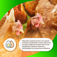 Sermand Nutrition Albumina De Ou 100% Pulbere Fără Gluten Fără Lactoză