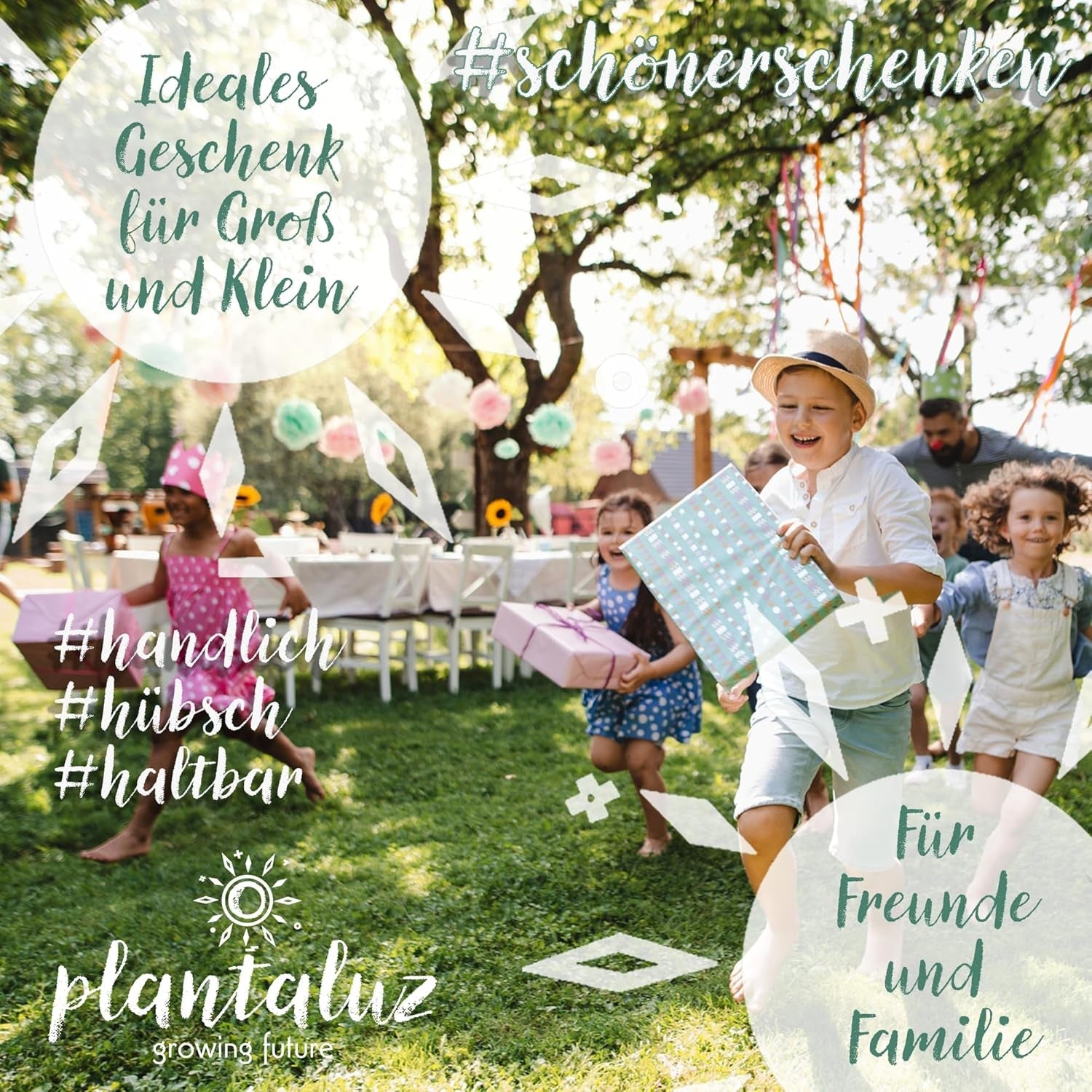 Set de semințe premium organice Plantaluz P03 – Set de semințe pentru plante culinare și medicinale pentru grădină, balcon și interior – incl. bețe de plantare FSC – Semințe organice polenizate liber, netratate și fără OMG-uri