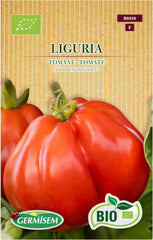 Tomate Liguria