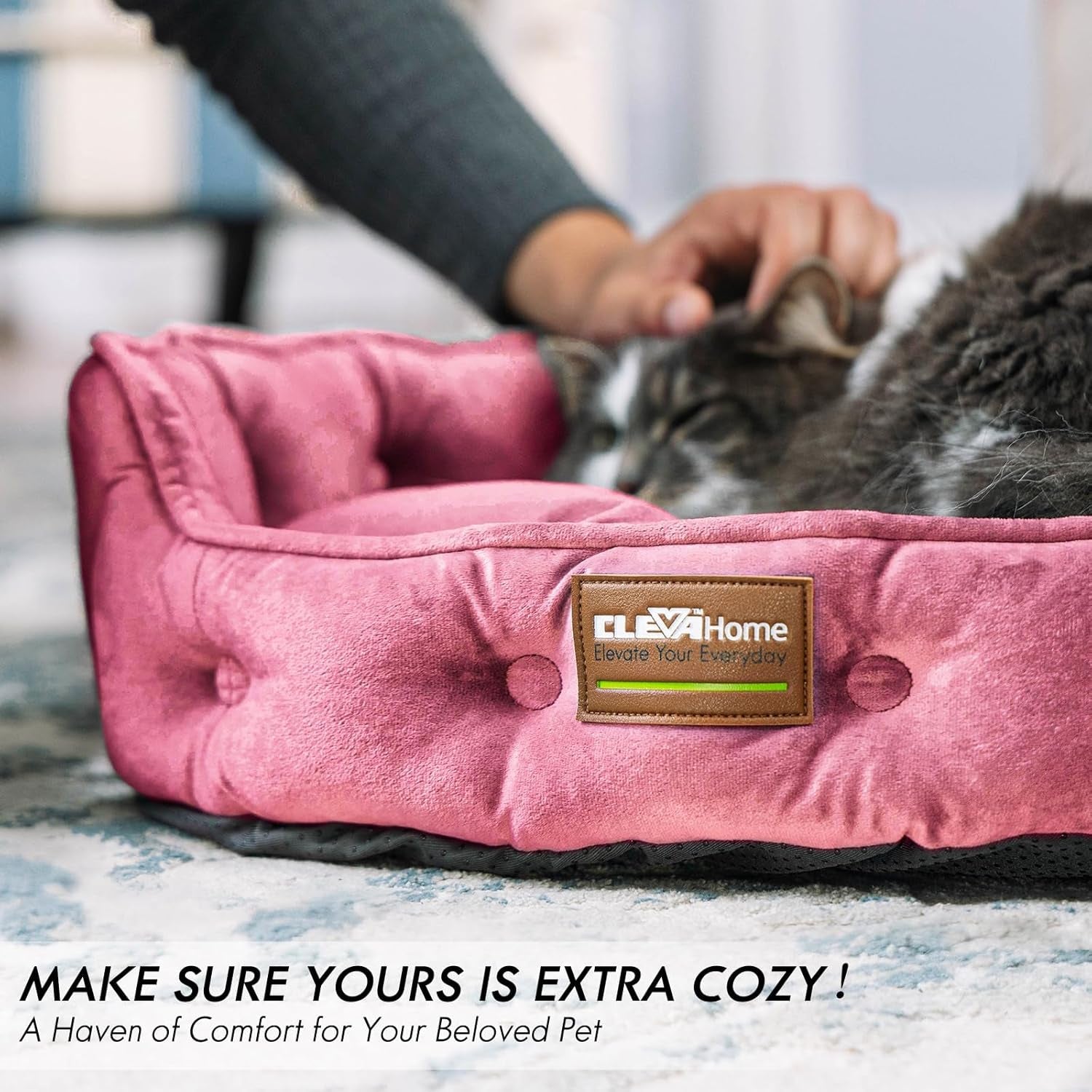 Paturi & Canapele, Pături & Mobilier, Animale de companie, Pisici, Paturi pentru pisici, Pisici - culcusuri, saltele