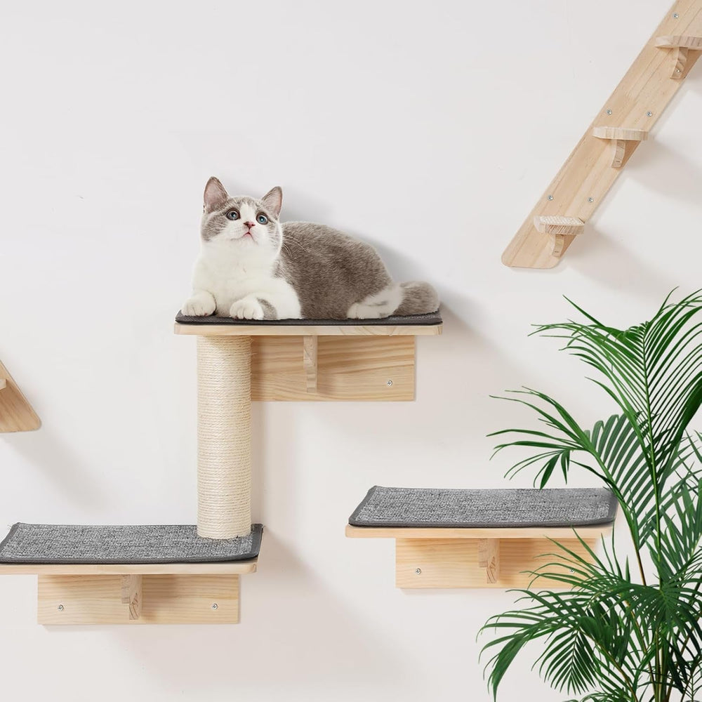 Pături & Mobilier, Pet, Pisici, Paturi Pisici, Pisici - culcusuri, saltele