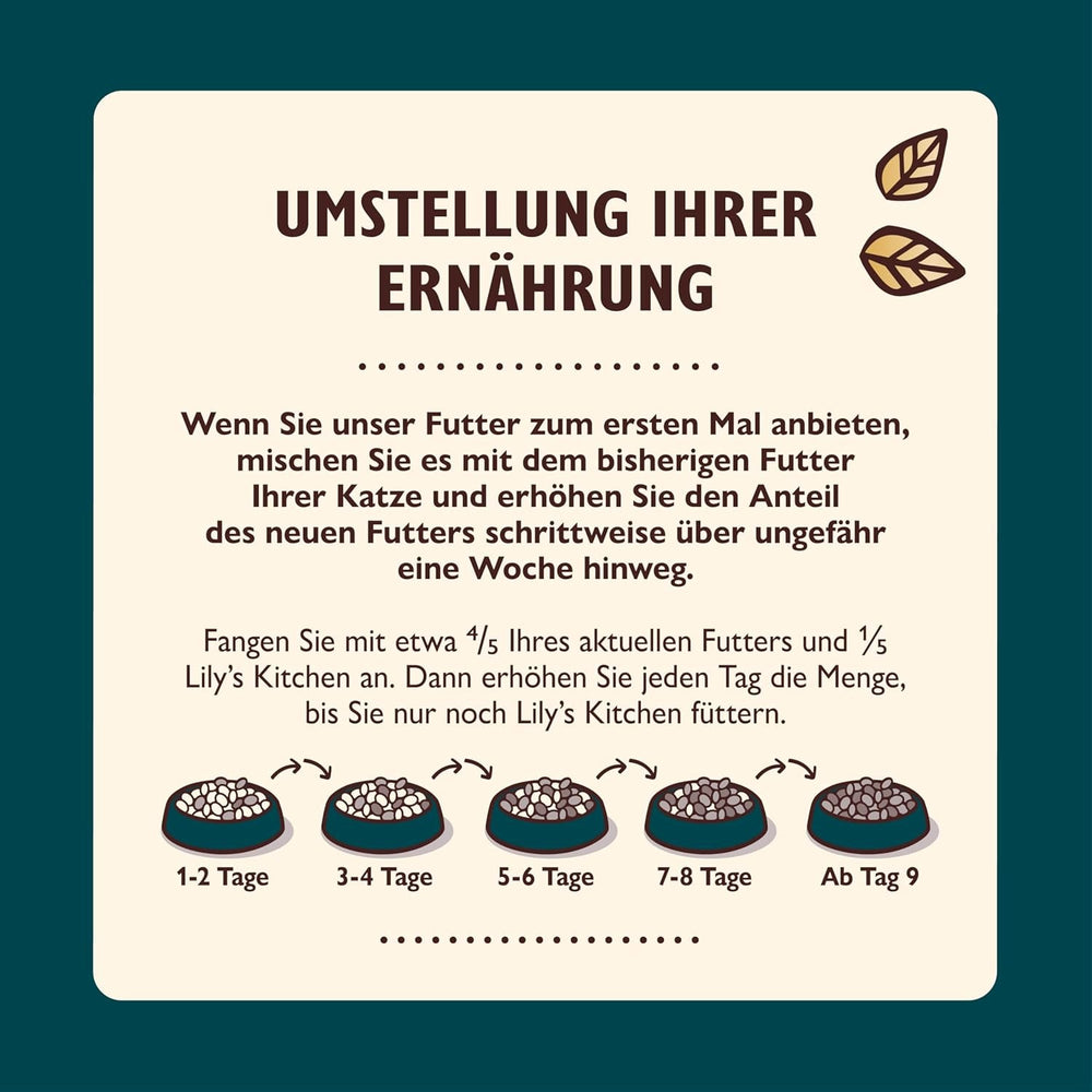 Lily’s Kitchen Aus Natürlichen Zutaten hergestellt Zerkleinerte Filets in Gelee mit Hühnchen und Lachs Ausgewachsen Nassfutter für Katzen 70 g Dose