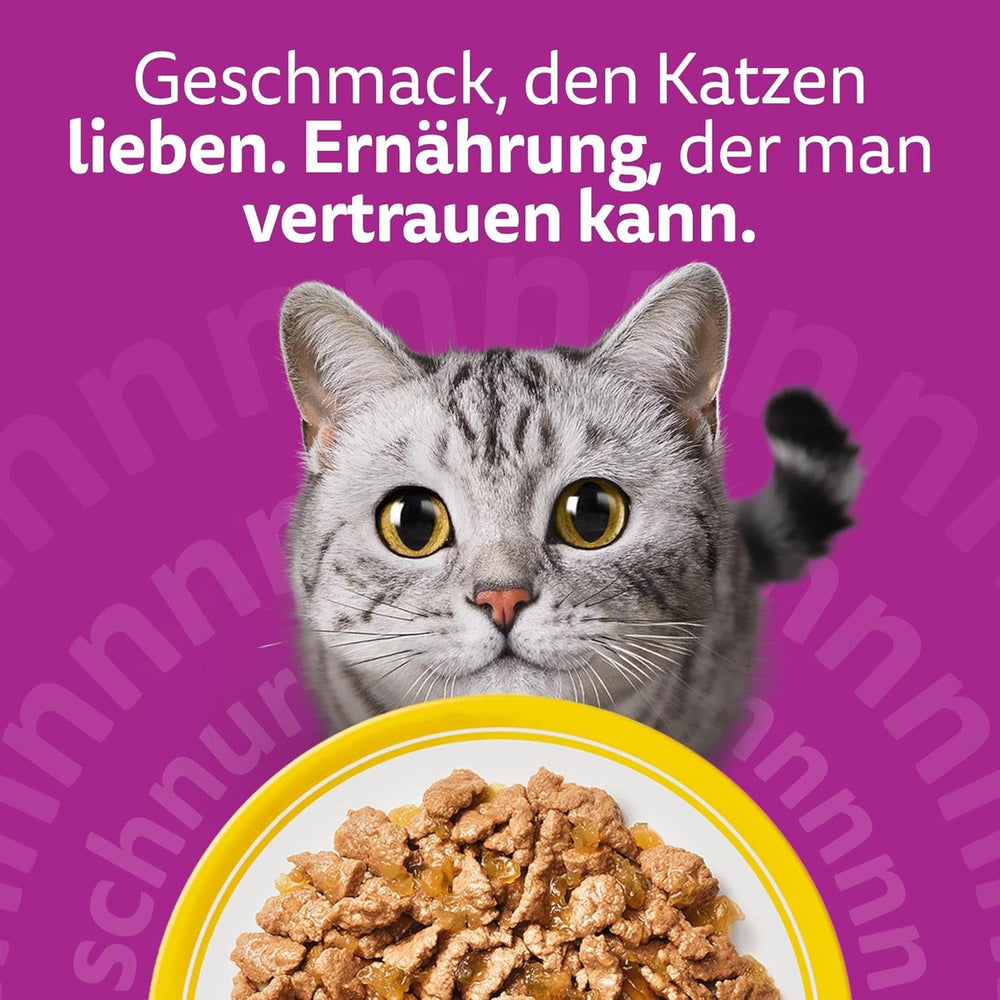 WHISKAS Hrană umedă pentru pisici în jeleu 120 x 85g Selecție de păsări de curte