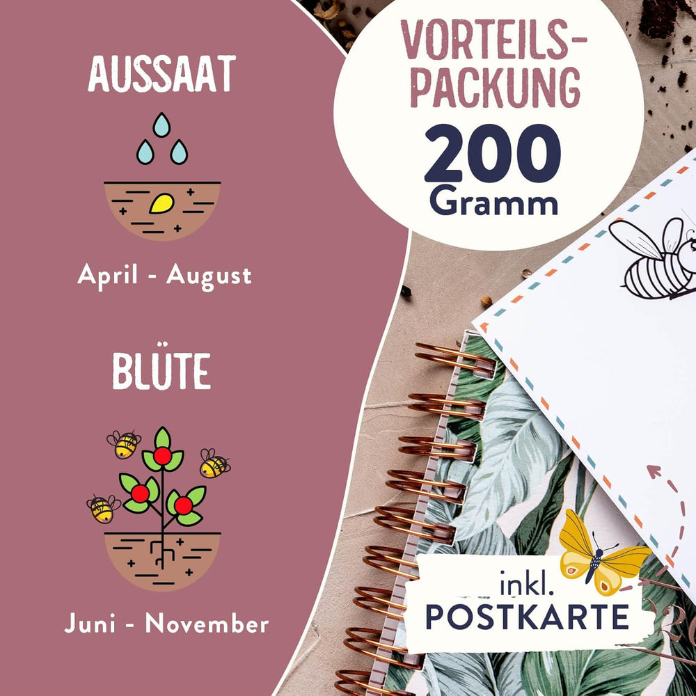 Schmetterlingswiese I 200 G I Blumenmischung Für 200 M² I Blumenwiese Samen Mehrährig Und Einjährig I Wildblumensamen Für Schmetterlinge Und Bienen I Wiesenblumen Samen